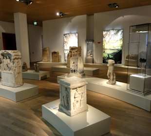 Exponate des Museums