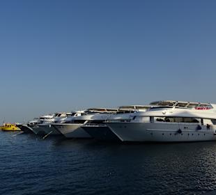  Hurghada