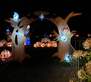 Mondo Verde Halloween