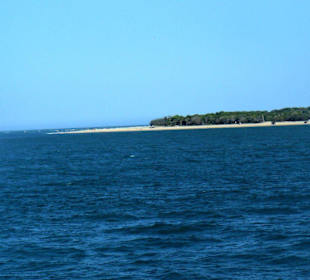 Fraser Island