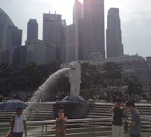 Picture from Free Singapore Tour out from airport