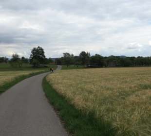 Wanderweg - Alter Steinbruch Pfaffenberg Runde