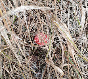 Wandern Oberwiesenthal