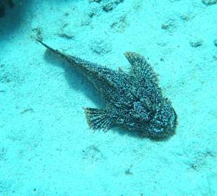 Beim zweiten Tauchgang