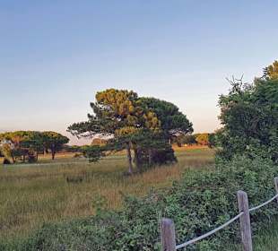 Einfach eine Traumlandschaft, nicht für jeden klar