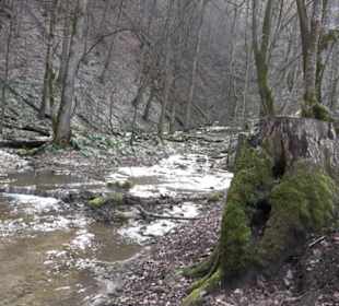 Bad Uracher Wasserfall
