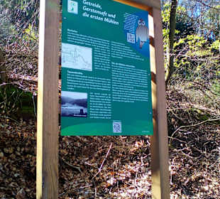 Naturdenkmal Elendsklamm in Landstuhl