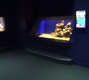 Palma Aquarium