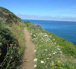 Wanderung bei den Iles Sanguinaires