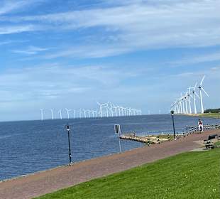 Wandern Wanneperveen