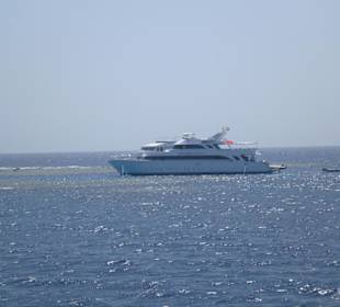 Dolphinhouse
