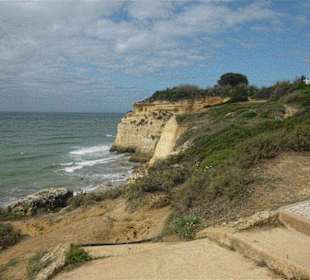 Meist festangelegte Wege