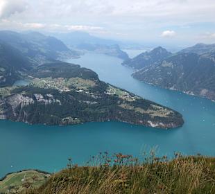 Fronalpstock 