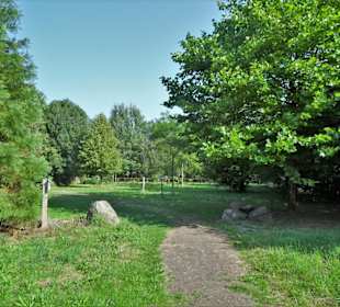 Rundgang durch das Arboretum Wildeshausen