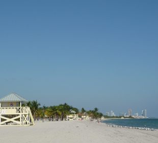 Skyline von Miami im Hintergrund