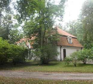 Park przy Pałacu w Nieborowie