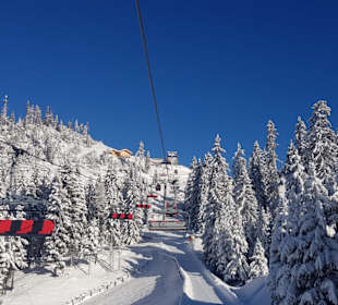Skigebiet Val di Fiemme/Obereggen