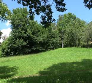 HAP Grieshaber Rundweg