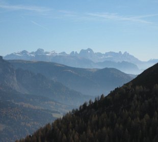 Blick auf den Rosengarten
