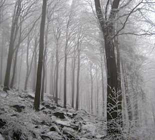 W drodzę na Ślężę