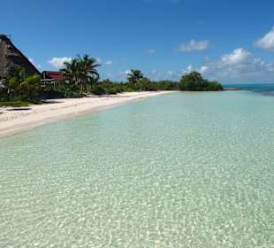 Isla Contoy, der Strand
