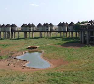 Salt Lick Lodge in Taita Hills 
