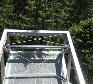 Naturparkzentrum Ruhestein