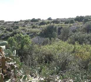 Ghar Dalam Cave & Museum