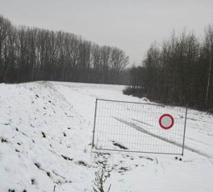 Am Rheindamm im Winter