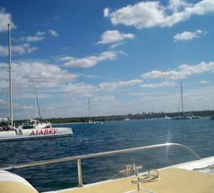 Ablegestelle im Hafen