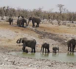 Etosha Nationalpark 1