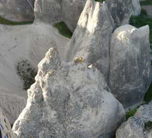 Blick aus dem Ballon