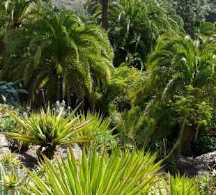 Ein unbeschreibliches Grün