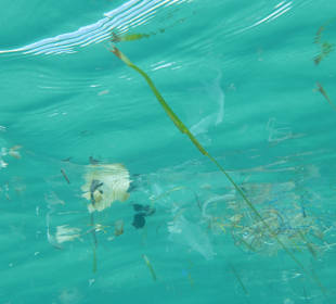 Südwestküste Mallorca