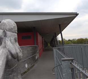 Carl-Kaufmann-Stadion