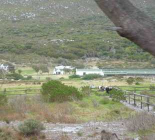 Kap der Guten Hoffnung