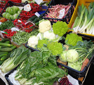 Rundgang über den Obstmarkt Bozen