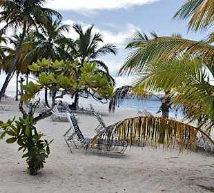 Bacardi Insel - Samána - Dominikanische Republik - DomRep Li