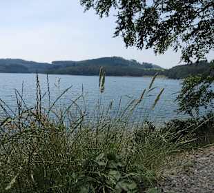 Hennesee