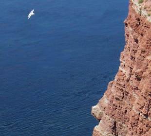 Felsen Helgoland