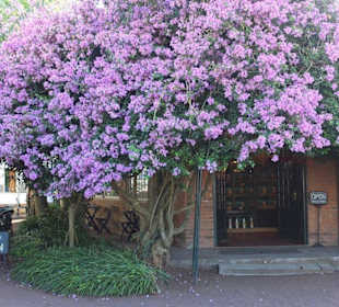 Eingang zum kleinen Laden