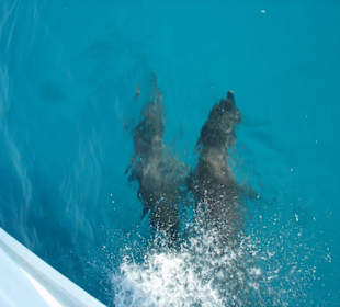 Wunderschöner Ausflug mit SimSim Reisen