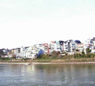 Rhein-Schifffahrt mit der Köln - Düsseldorfer
