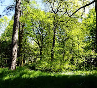 Spaziergang durch den Forstbotanischen Garten