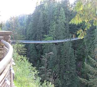 Capilano Suspension Bridge and Park
