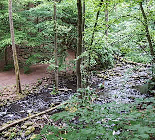 Holzbachschlucht