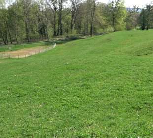 Parkanlage Villa Berg