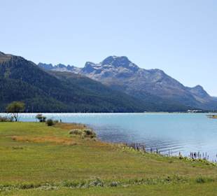 Lago