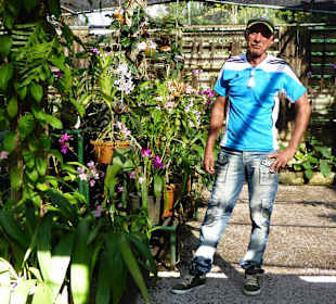 Orchideengarten mit Guide