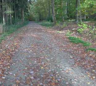 Keltische Grabstätten Stockach